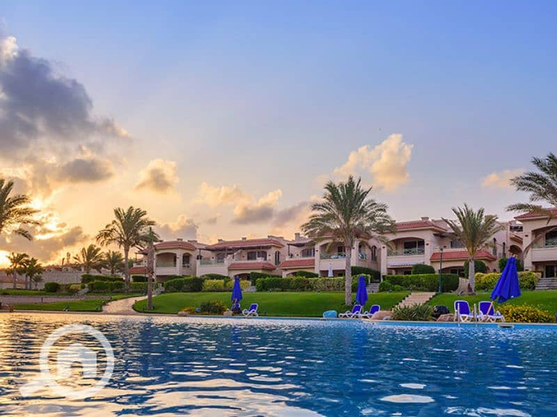 9 Untitled design - 2023-07-12T164700.373 (2). png