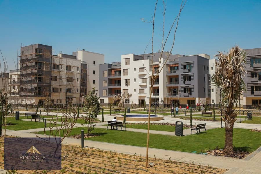 ديستركيت (7). jpg ديستركيت (7). jpg