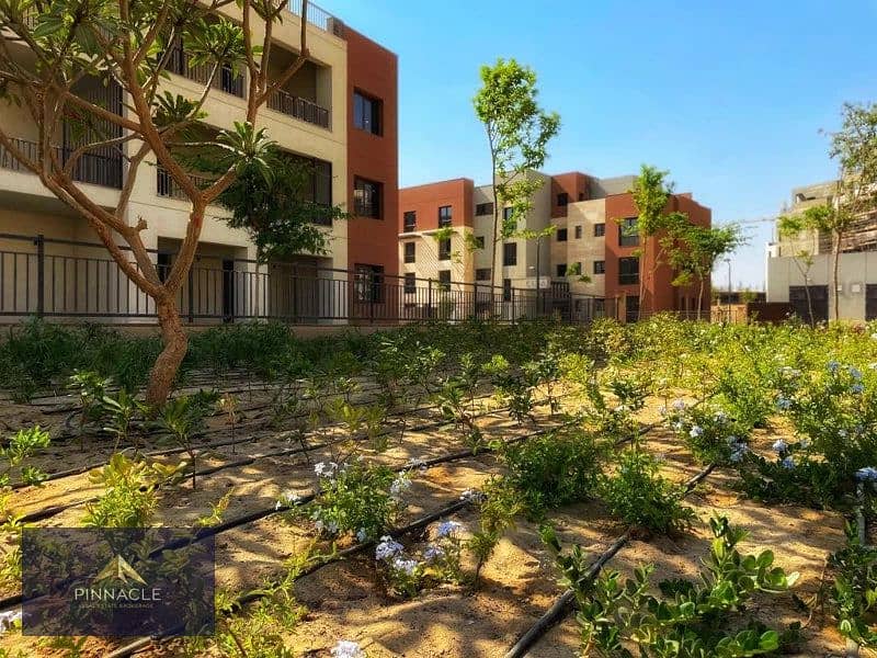 5 ديستركيت (4). jpg