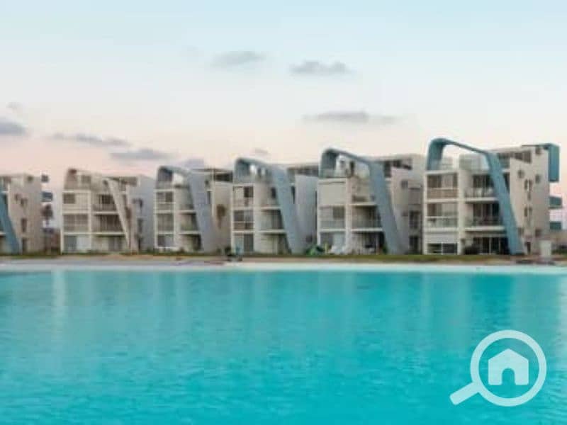 4 Untitled design (90). png