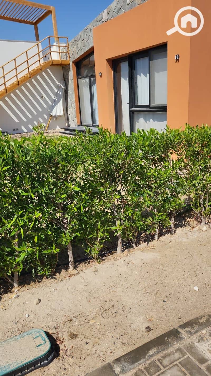 4 406235175_314505321473988_7444945000572502511_n. jpg