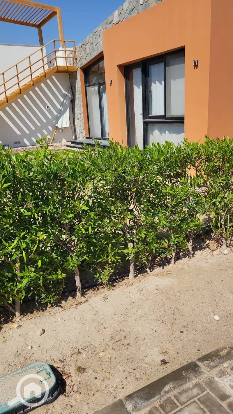 3 406235175_314505321473988_7444945000572502511_n. jpg