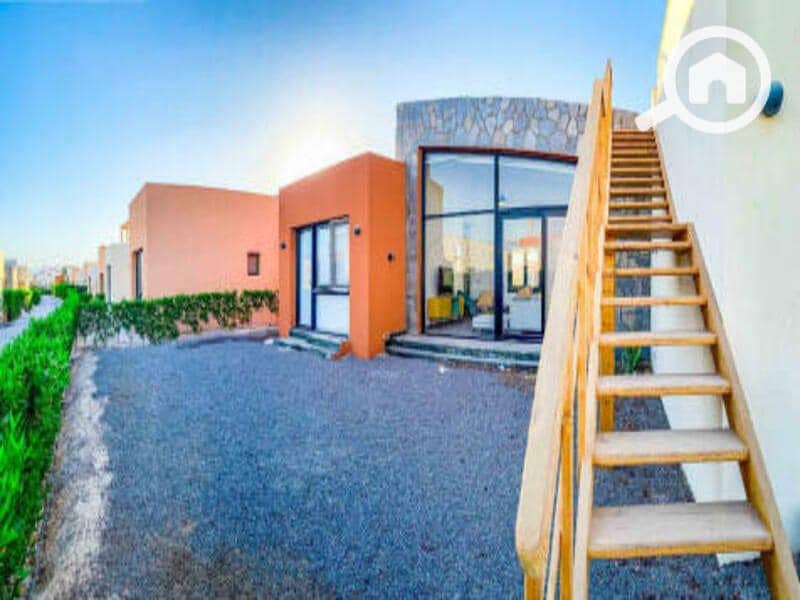 6 454204476_473983848932536_2617334346163915260_n. jpg