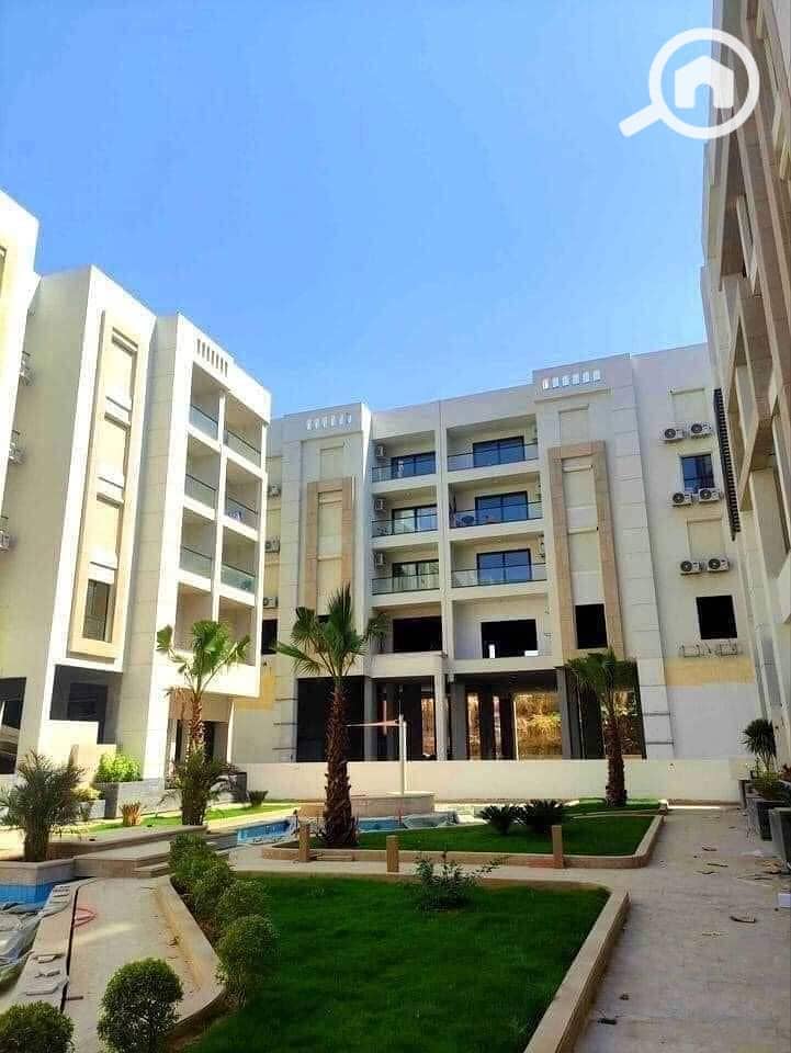 7 464732134_8299202056869806_1445383791618255793_n. jpg