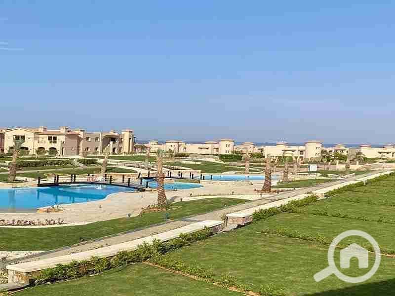 6 FB_IMG_1654463340864. jpg