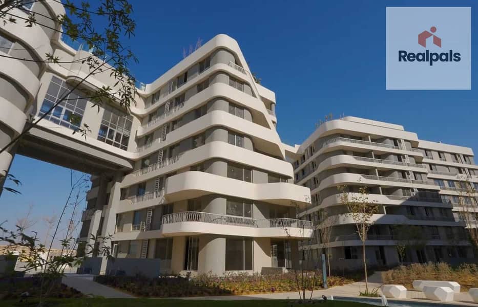 8 WhatsApp Image 2024-11-06 at 1.17. 28 PM (4). jpeg