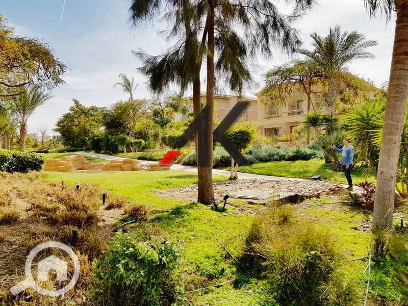 8 80f94efc-db5b-4161-ab9d-48e07fa28bf3_InPixio. jpg