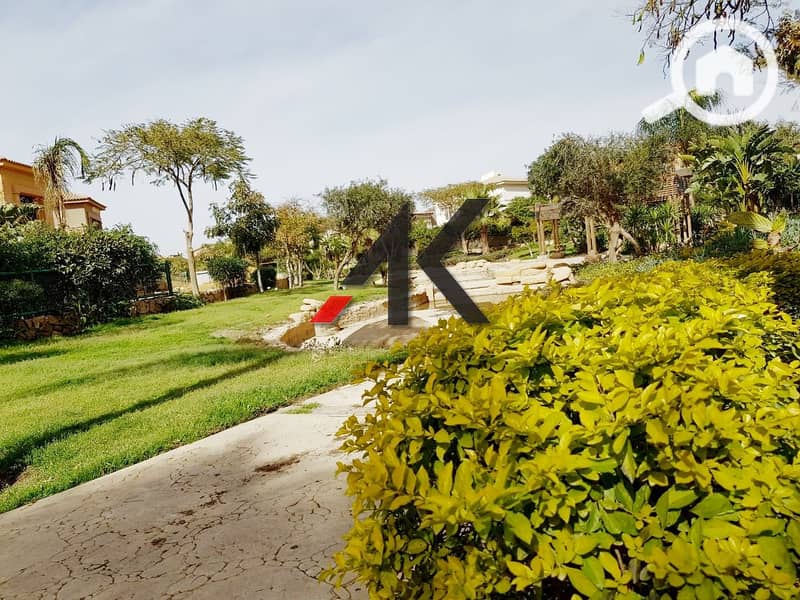 11 bfadeed2-5b6b-400a-8ccc-49da3f6f559a_InPixio. jpg