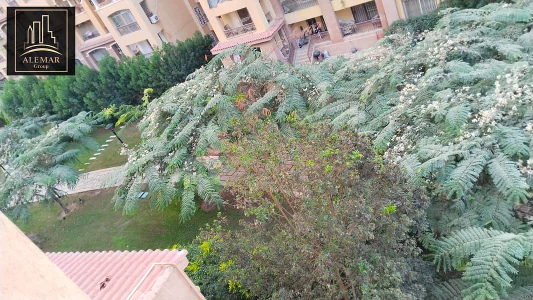 9 87ee6d56-e3ee-41b6-a989-4eaebd47de1f. jpg