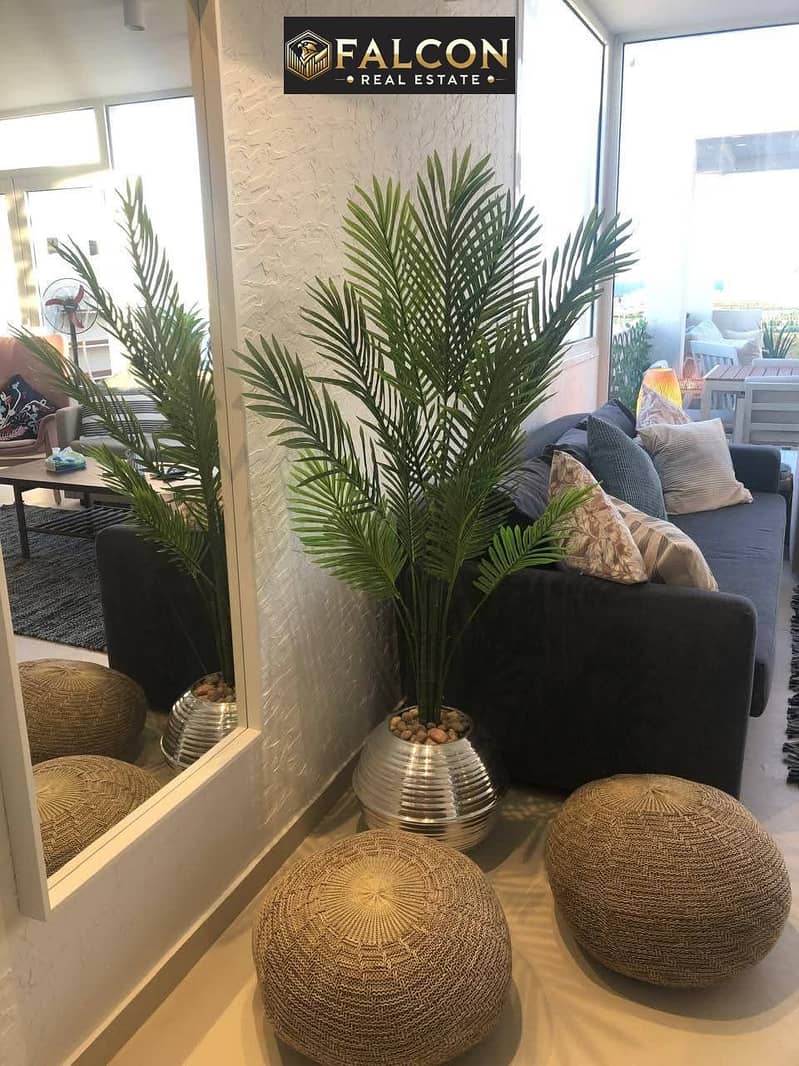 5 4c66a0ed-7d82-4da3-a6c0-7f341d847676. jpg