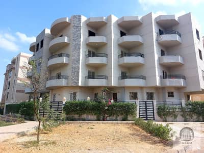 شقة 3 غرف نوم للبيع في مدينة الشروق، القاهرة - WhatsApp Image 2025-11-13 at 4.50. 55 PM (3). jpeg