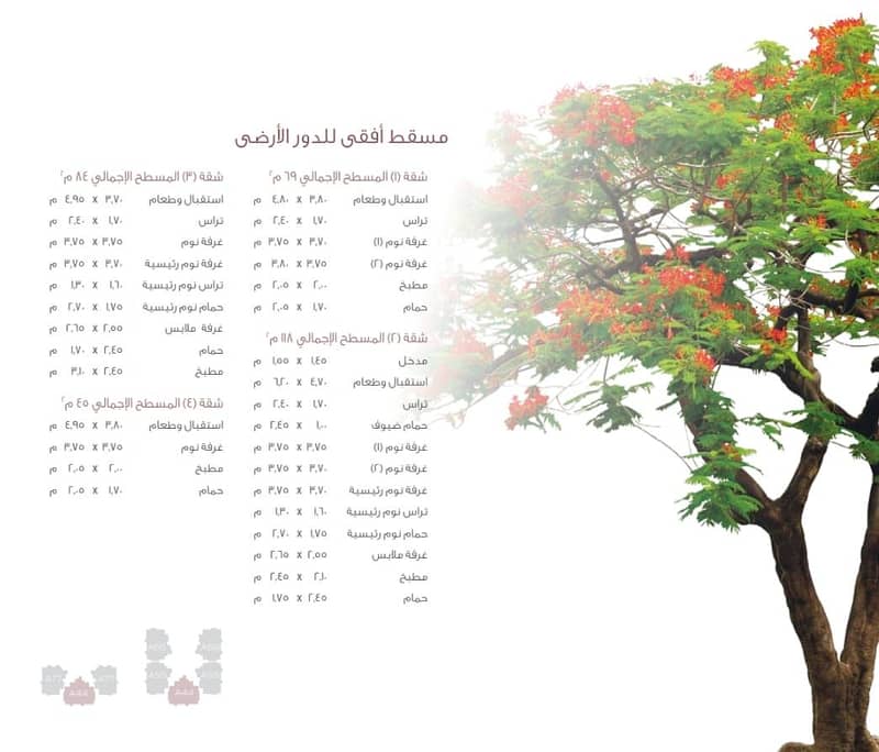 3 WhatsApp Image 2025-11-13 at 4.53. 21 PM (1). jpeg