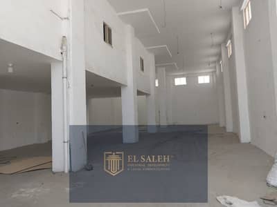 مصنع  للايجار في العاشر من رمضان، الشرقية - WhatsApp Image 2025-11-13 at 4.37. 12 PM(1). jpeg