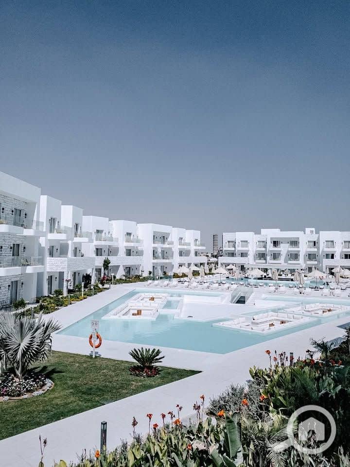 7 574571862_2625877374457540_1576959525446907014_n. jpg