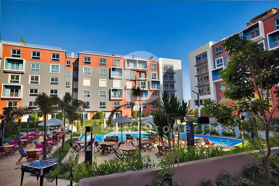 4 WhatsApp Image 2024-09-12 at 13.28. 46_77b376ef. jpg