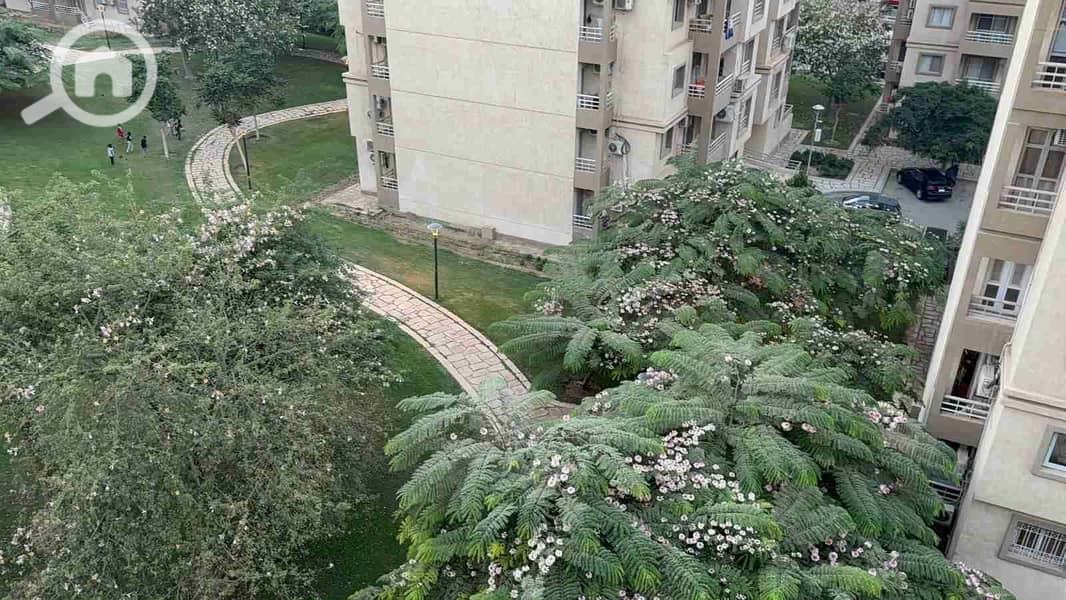 1000932807. jpg 1000932807. jpg