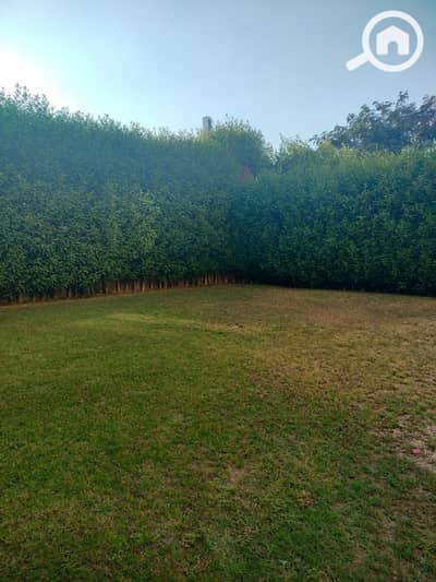 2 Bedroom Apartment for Rent in Sheikh Zayed, Giza - d288d2ad-2df6-43b0-9097-e7ae1517f507. jpeg 2 Bedroom Apartment for Rent in Sheikh Zayed, Giza - d288d2ad-2df6-43b0-9097-e7ae1517f507. jpeg