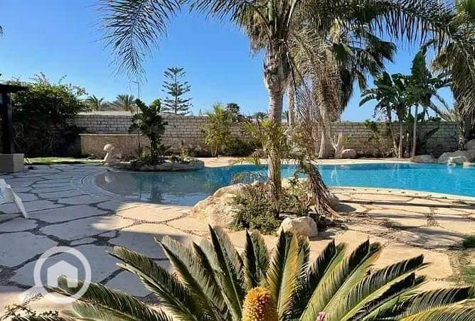 5 مارينا الساحل الشمالى (2). jpeg