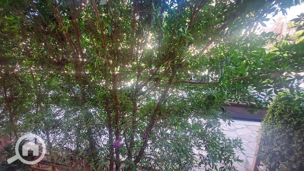 7 2650e9c2-232e-4620-9034-5f631deabaff. jpg