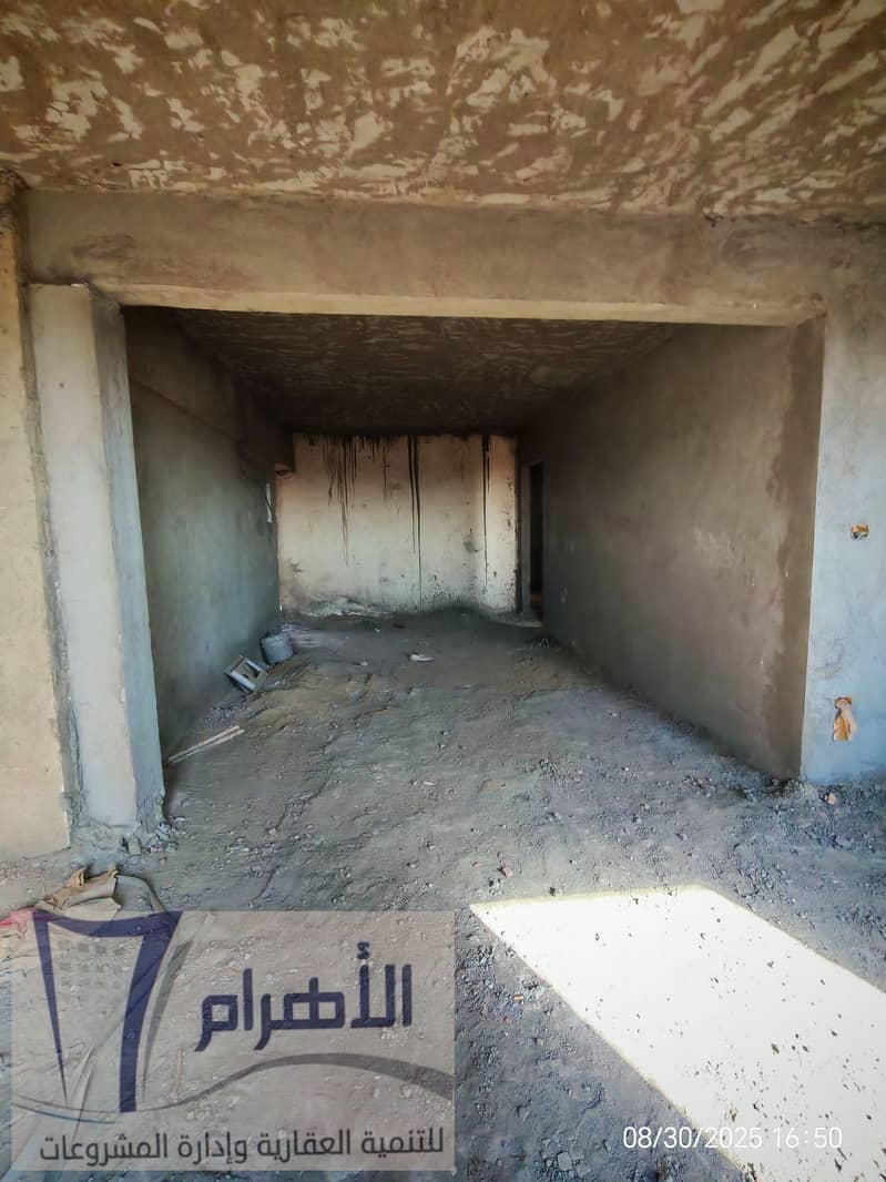 8 540498455_2540356572998220_7743532547108141401_n. jpg