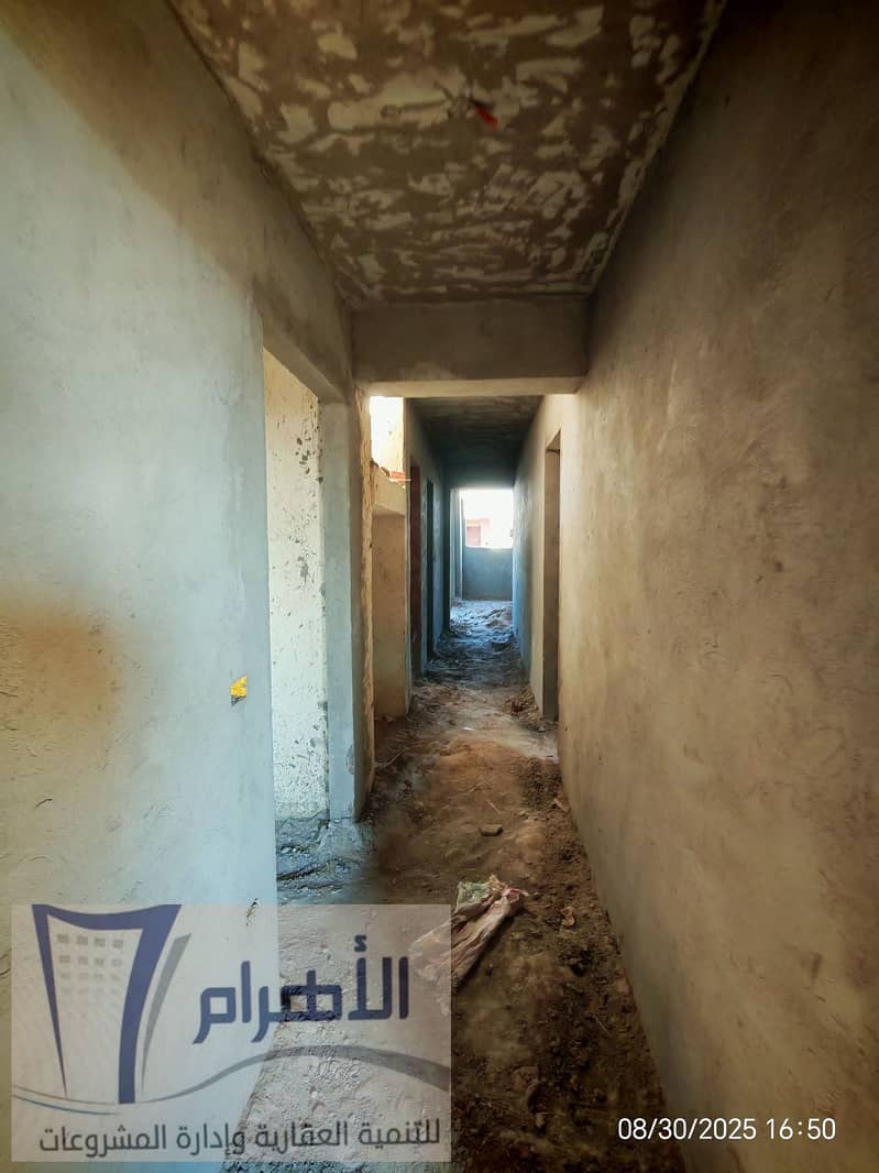 10 540026353_2540358186331392_373421880924787645_n. jpg