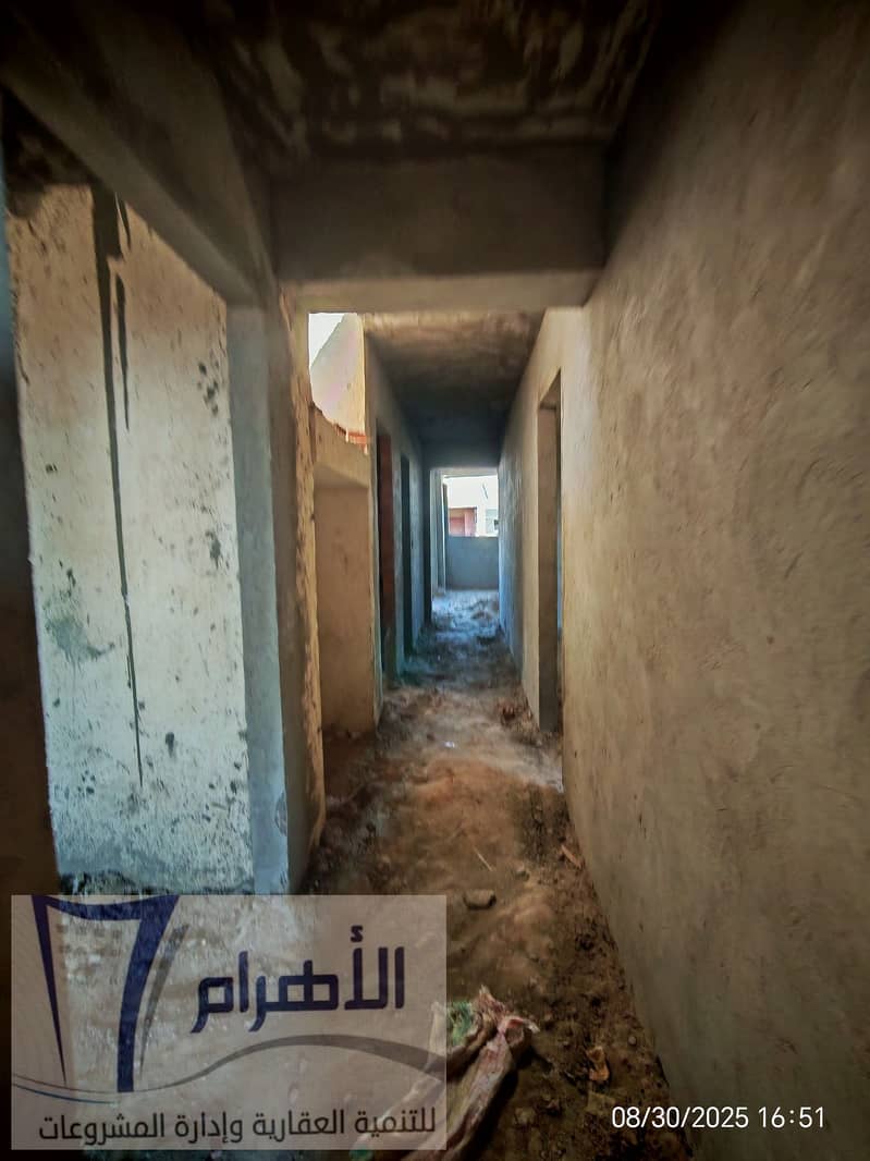 11 540688552_2540359252997952_3724399404937130566_n. jpg