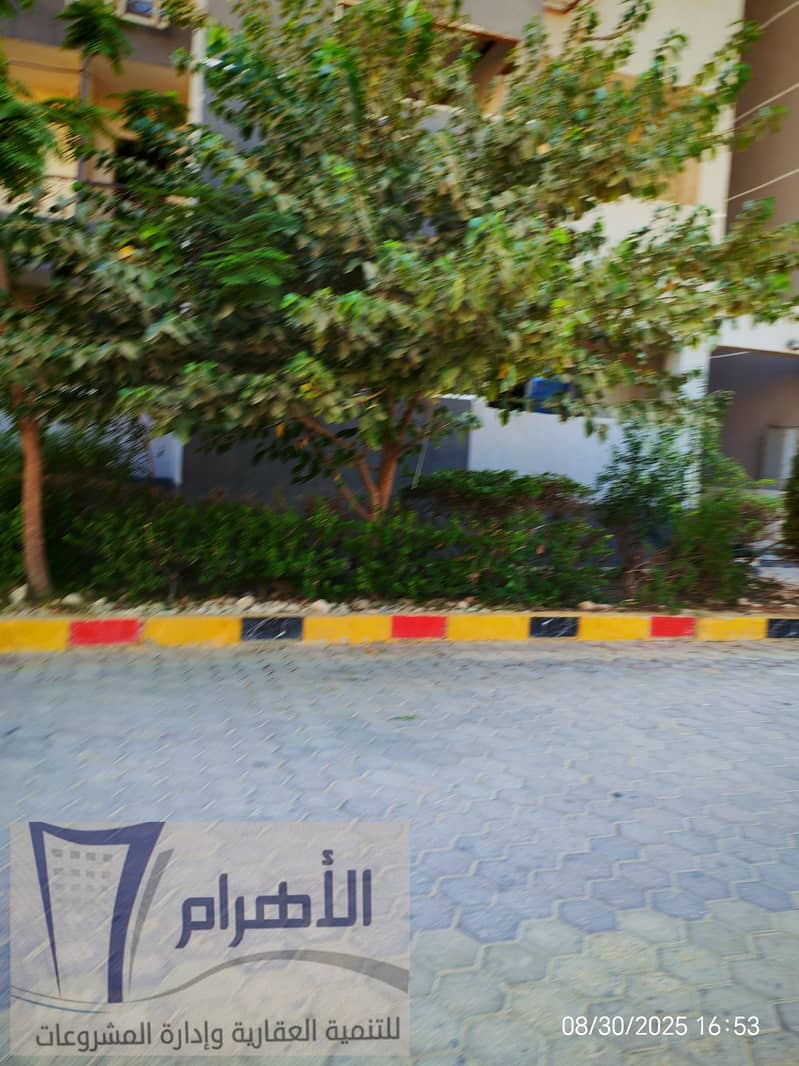 20 540869922_2540359472997930_6122313851651806603_n. jpg