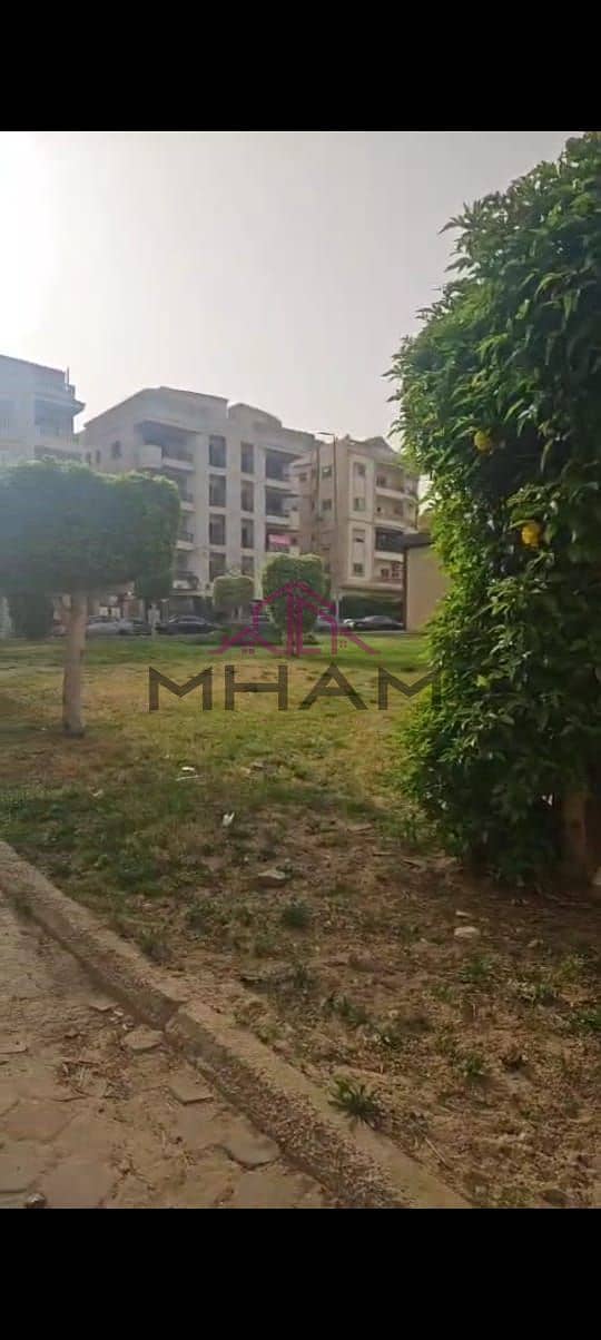 2 photo_5814222049394756740_y. jpg