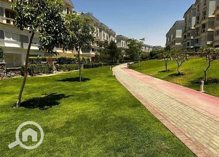 4 571320085_25775283325392468_3338310335348996862_n. jpg