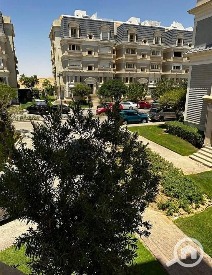 5 571346281_25775282708725863_2025519658806445278_n. jpg