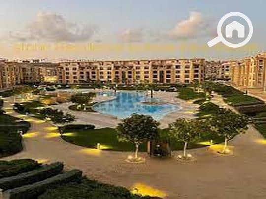 10 9079edb0-784e-11ef-971e-b2b0de415969. jpeg