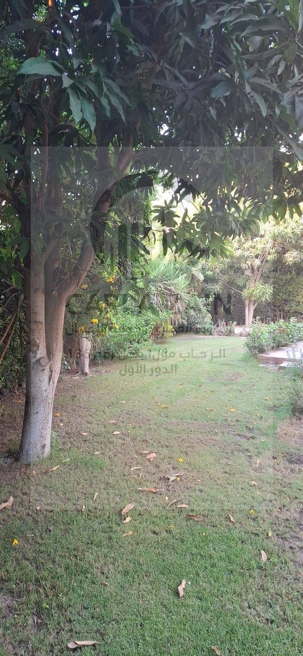 6 IMG-20251113-WA0094. jpg