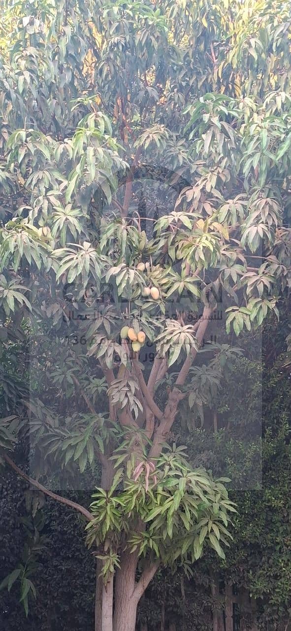 14 IMG-20251113-WA0092. jpg