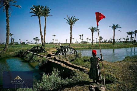 أرض سكنية  للبيع في مدينة الفيوم، الفيوم - 1c9d51af-9d70-431e-b8e0-d60556db3383-1. jpg