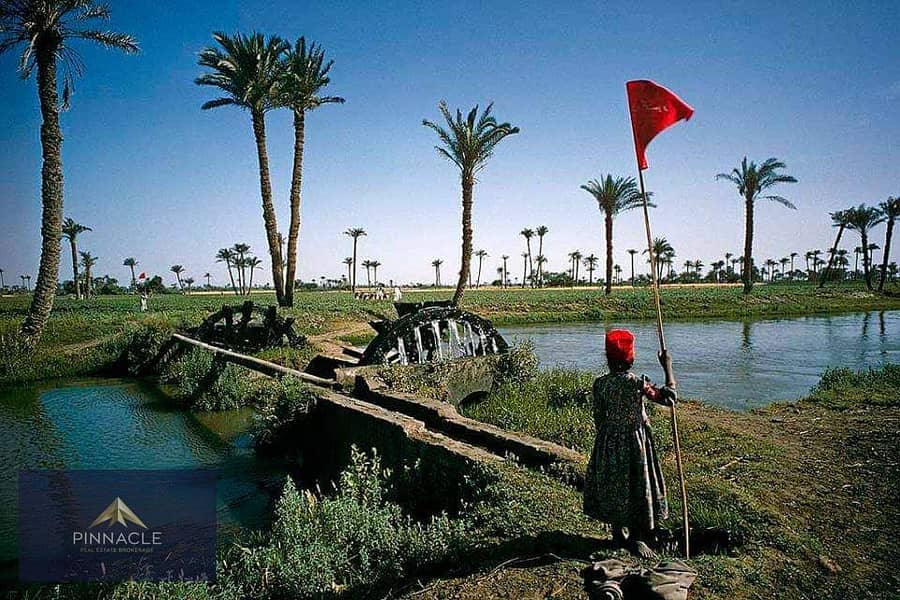 1c9d51af-9d70-431e-b8e0-d60556db3383-1. jpg