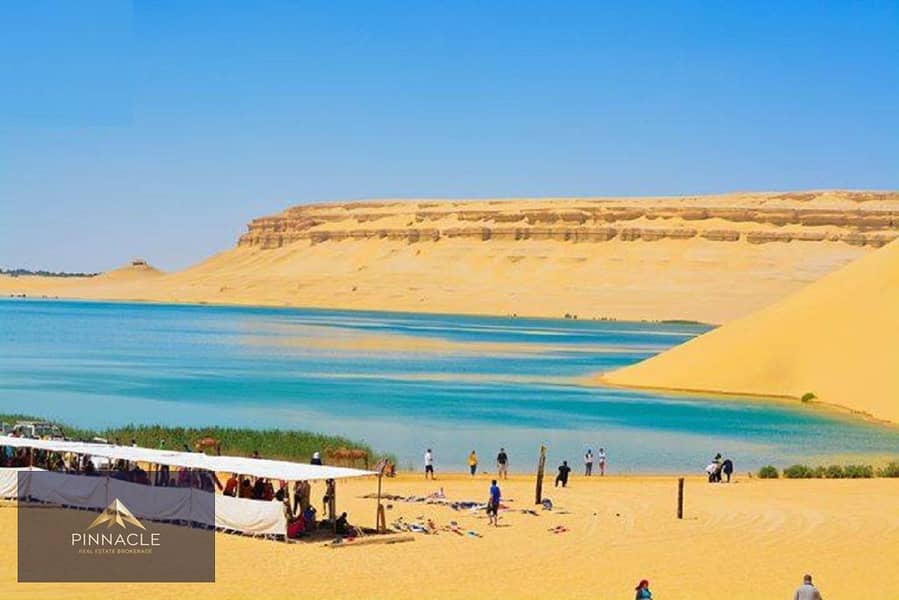 3 El-Fayoum-Oasis-Desert-Safari-Trip-1024x683-1-1. jpg