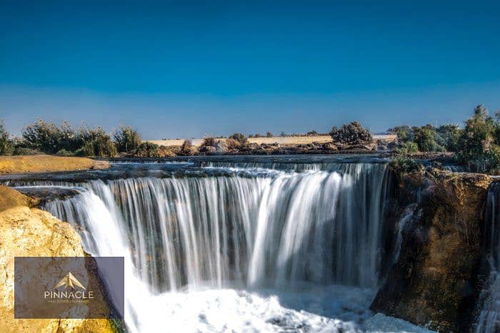 8 12542972-ae29-441e-908c-9b19f1a0b3d6_sm. jpg