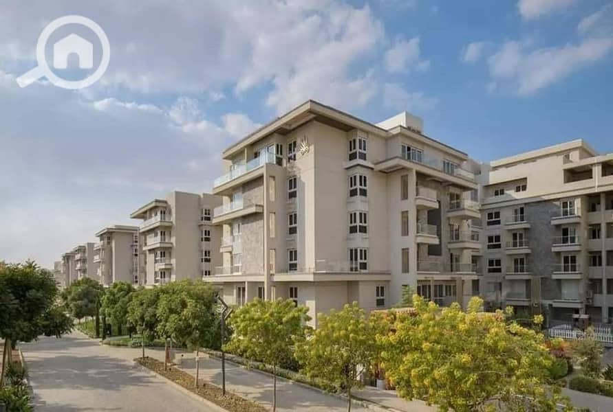 4 454957872_122147611730264853_758920732460999435_n. jpg