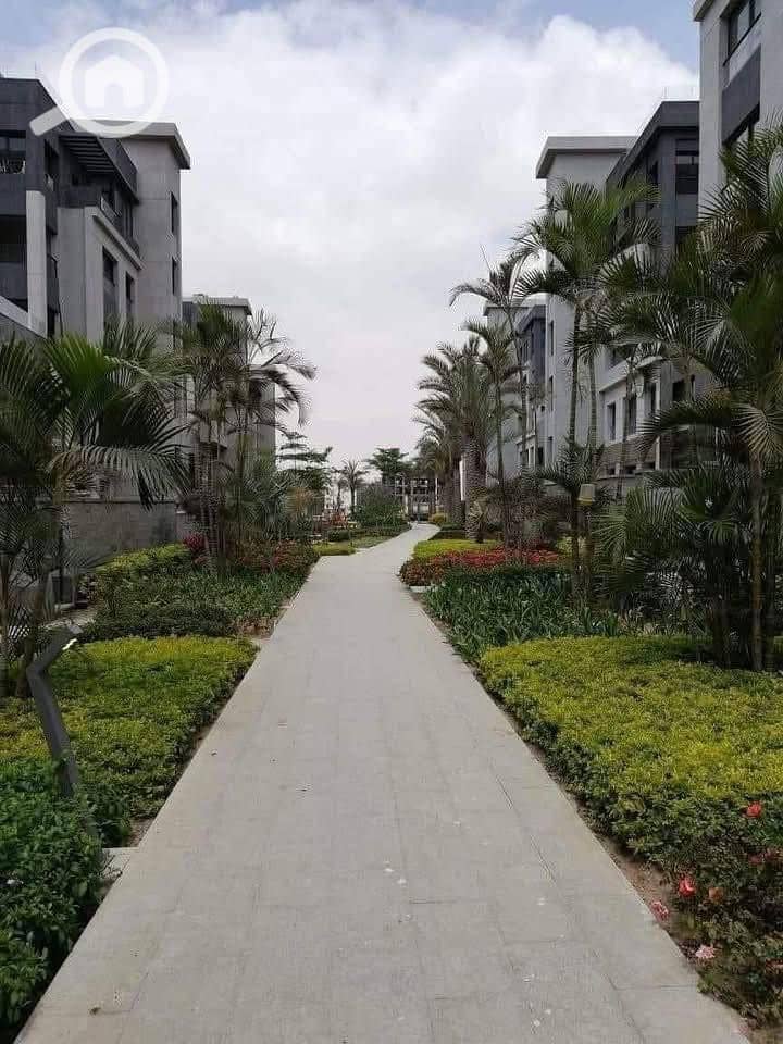 10 574269917_122150169248644114_6317101434110064119_n. jpg