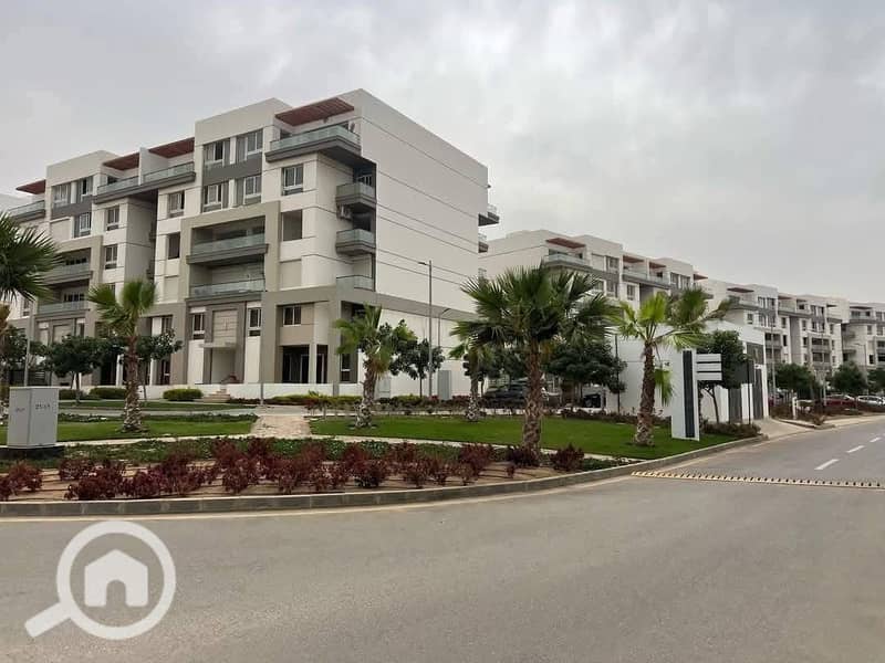 7 558578403_122139985376925865_1942145141399749403_n. jpg