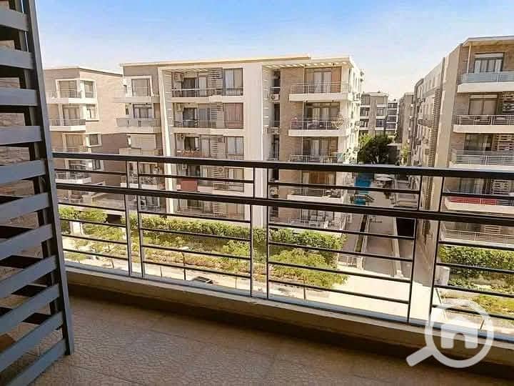 8 540927470_122226812336253661_6000556601520162185_n. jpg