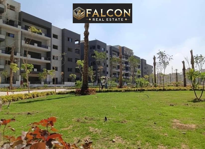 5 c9d7d1fc-ae6f-470d-b3fb-abcc02c67ad4. jpg