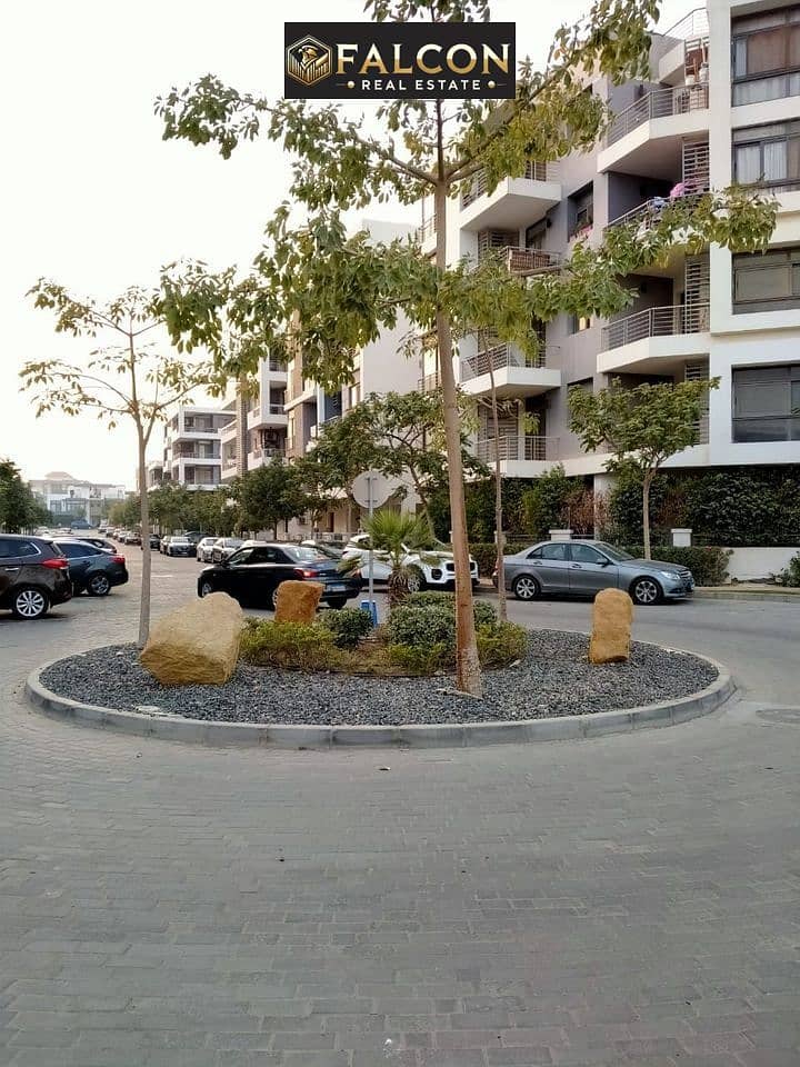 7 248922955_1373436279785770_5972380787892083052_n. jpg