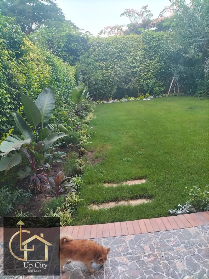 3 1763047194729. jpg