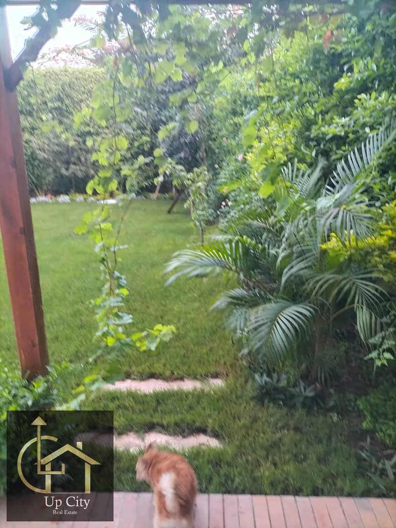 4 1763047194761. jpg