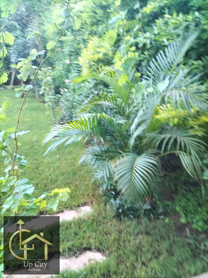 5 1763047194837. jpg