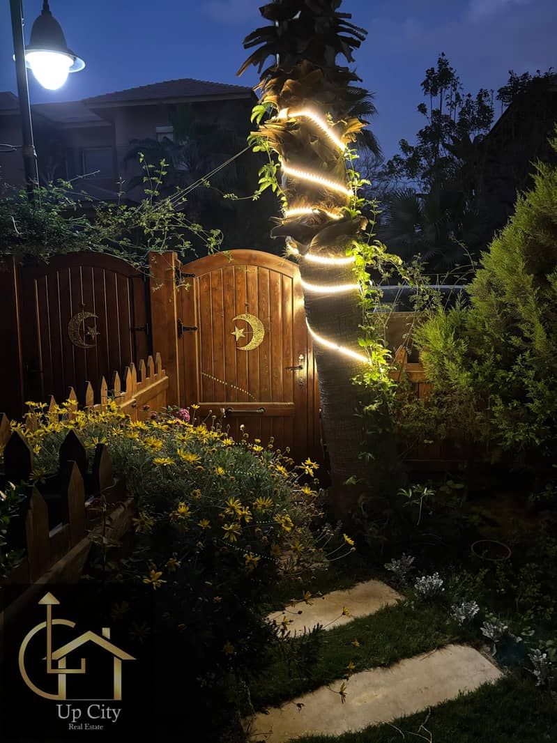 6 1763047194898. jpg