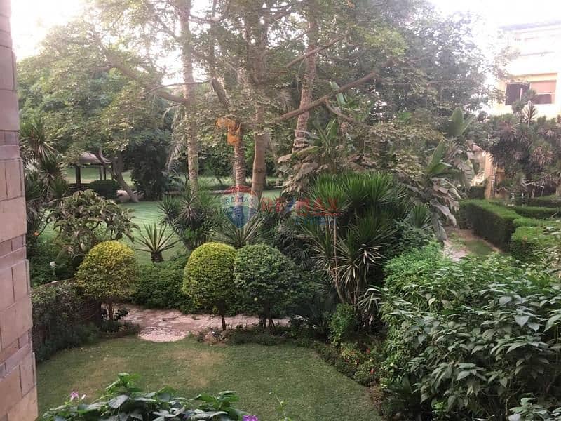 3 c146c4d0-0d75-44bc-99ef-dcebf0ad71d9. jfif. jpg