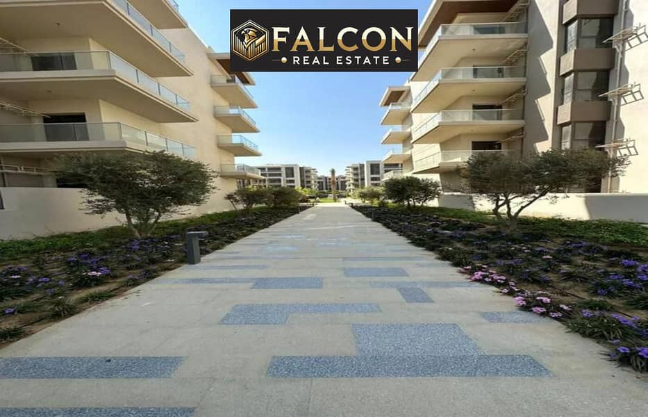 12 392763264_267435302945614_8931035259398135544_n. jpg