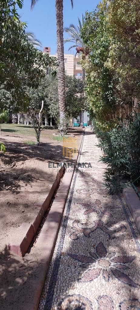 5 WhatsApp Image 2025-11-13 at 3.10. 35 PM. jpeg